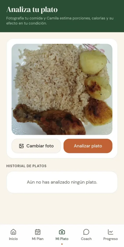 Pantalla Analiza tu plato de Recetario Vital App con la foto de un plato de pollo con arroz y patatas lista para analizar